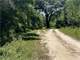 North Florida Hunting Property for Auction Aucilla Plantation