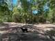 North Florida Hunting Property for Auction