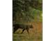One the Best Small Acreage Deer Properties in Southeastern Illinois