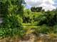 Online Only Auction- Versatile Land Tract in Gilmer TX