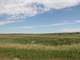 Organic Farmland in South Central South Dakota