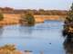 Premium Deer and Duck Hunting Property Auction