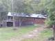 Prime Deer Hunting in Lewis CO KY