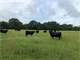 Secluded Ag-Exempt Acres Good Pastureland in Hopkins County