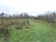 Secluded Deer Hunting Property Lewis CO KY