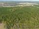 Timber Farm and Hunting Land in Pittsburg County TX for Sale