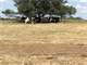 Turn Key Dairy Operation