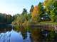 Well Managed Hunting Parcel with Cabin in Lincoln County